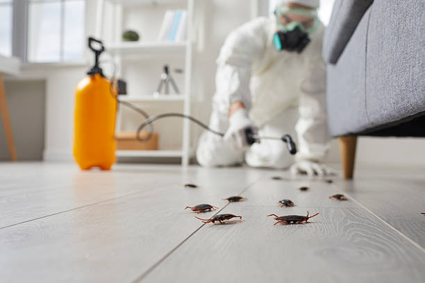 Affordable Cockroach Control solutions in Biscayne Park, FL